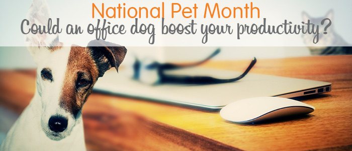 Get Ahead VA National-Pet-Month-Blog